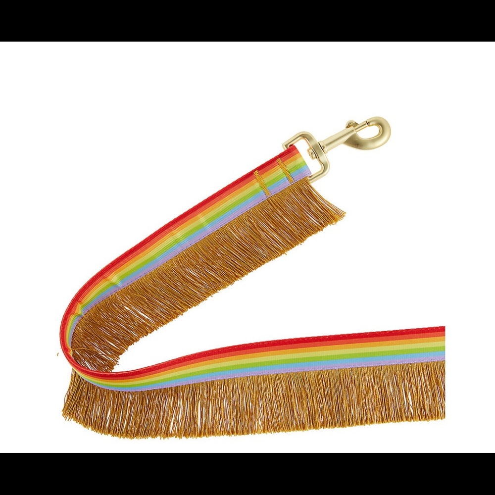 Rainbow Pride 4ft Dog Leash 🌈